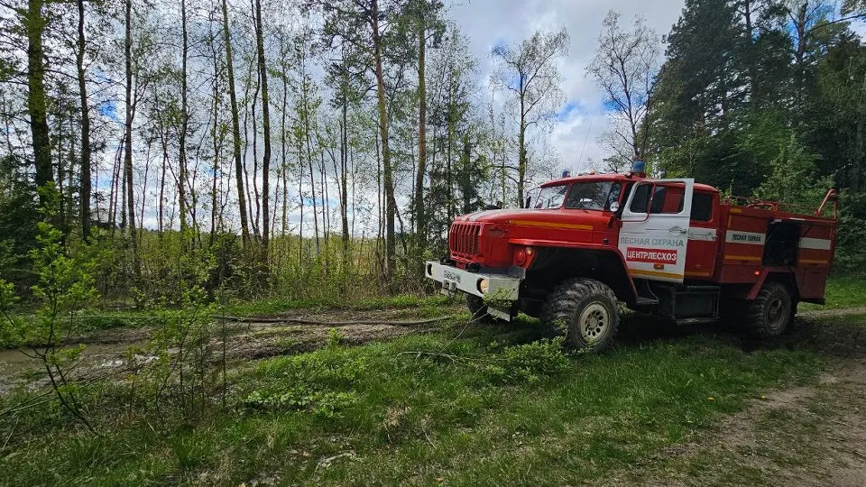 Фото: t.me/mosoblcomles