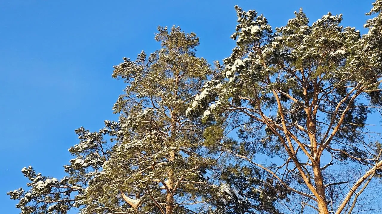 REGIONS/Александр Дрожжин