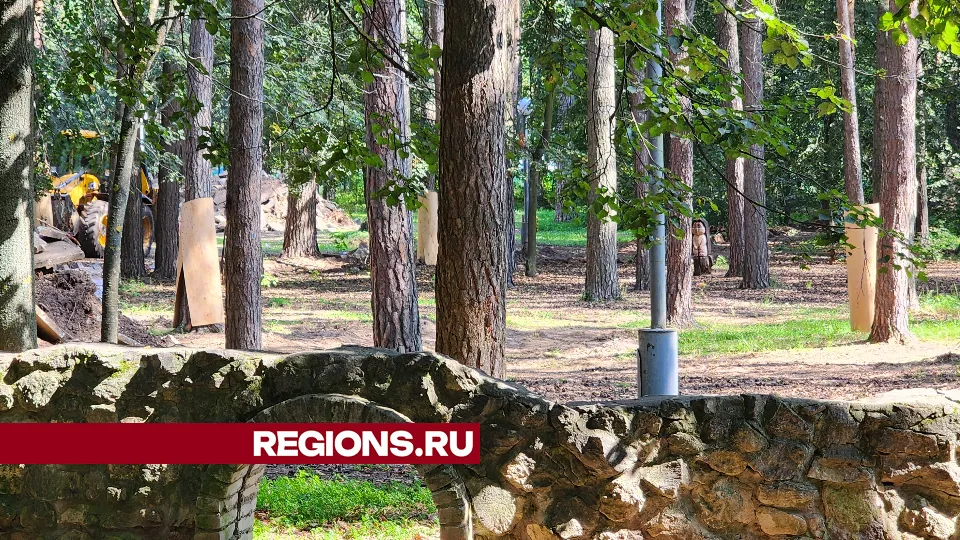 Фото: Анна Мороз