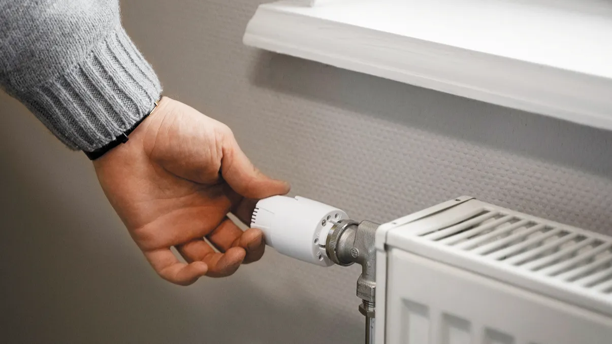 Фото: ru.freepik.com