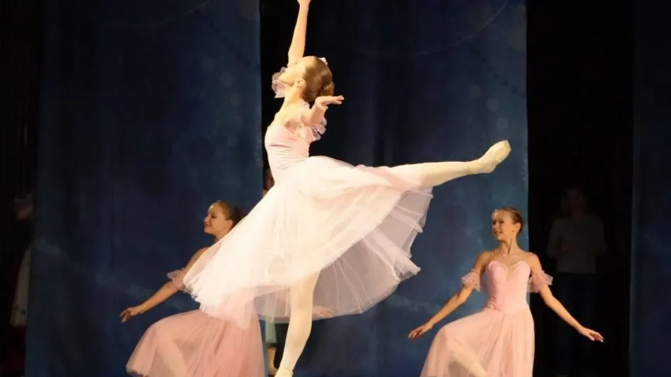 Фото: пресс-служба администрации г.о. Серпухов