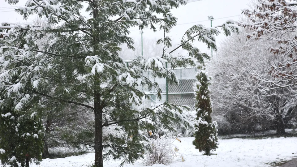 Фото: REGIONS/Ольга Пятикрестовская