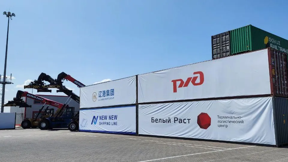 Фото: Евгений Рой