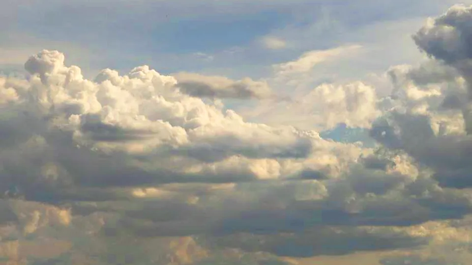 Фото: REGIONS/Алексей Селиверстов