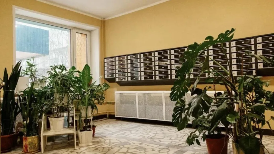 Фото: Министерство по содержанию территорий и государственному жилищному надзору МО