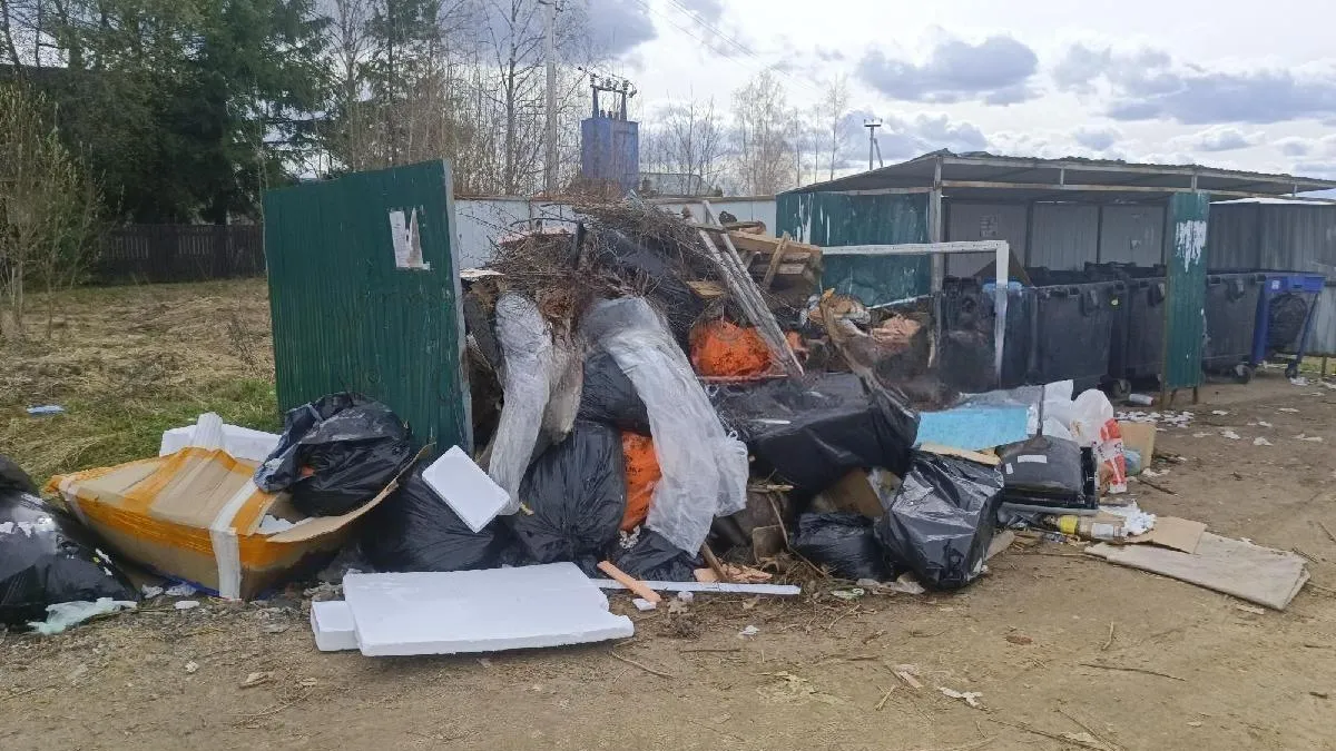 Фото: vmeste.mosreg.ru/Дмитрий