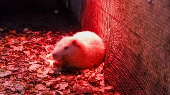 Фото: медиасток. рф