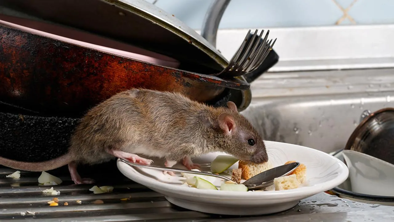 istockphoto.com