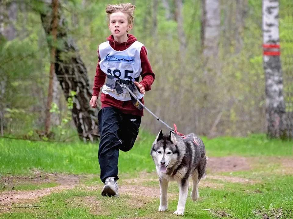 Фото: Центр ездового спорта и туризма «Бореалис»