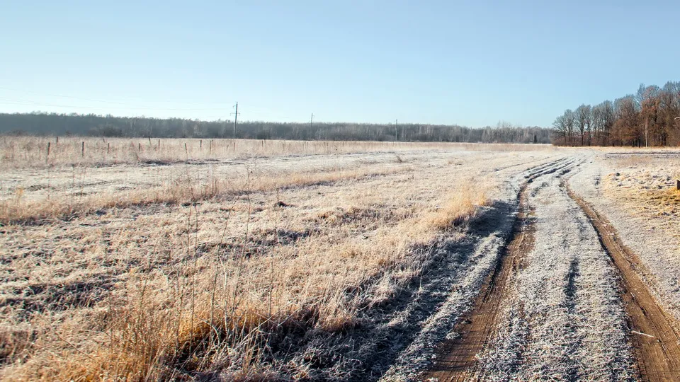 Фото: freepik.com