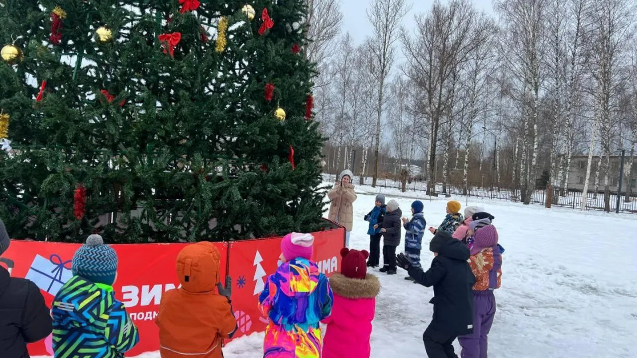 Фото: t.me/park_suncoast