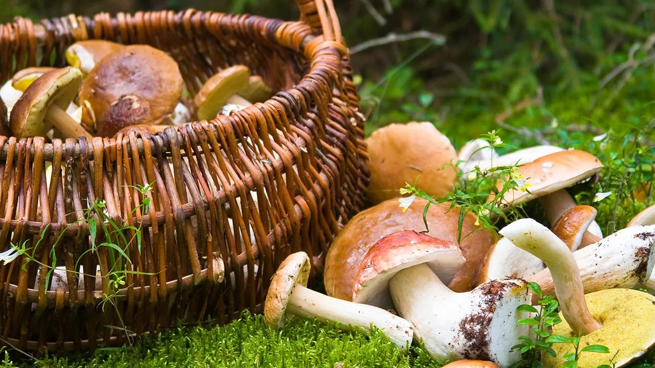 istockphoto.com/Alex Potemkin