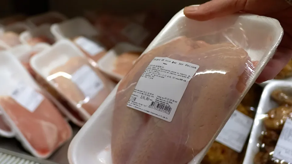 Фото: РИА Новости/Алексей Даничев