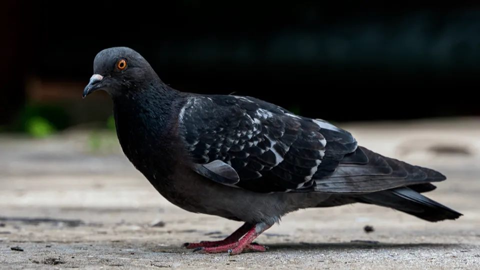 Фото: REGIONS/Наталия Надточая