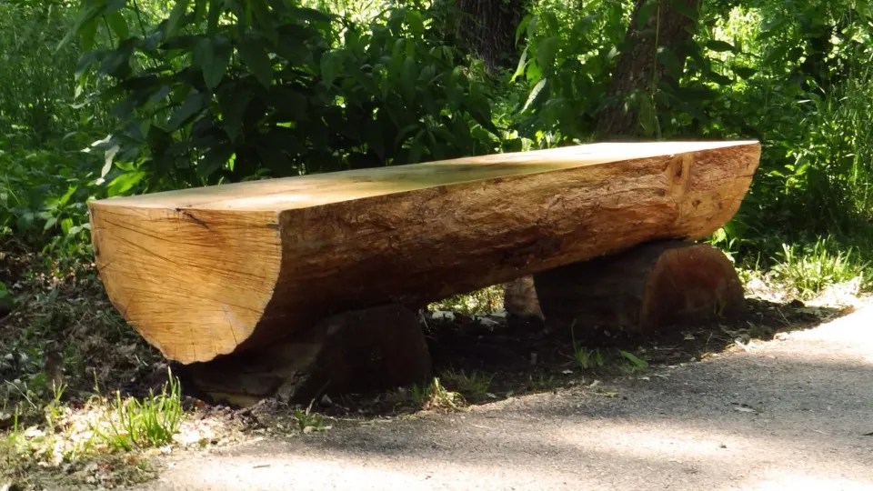 Фото: pxhere.com