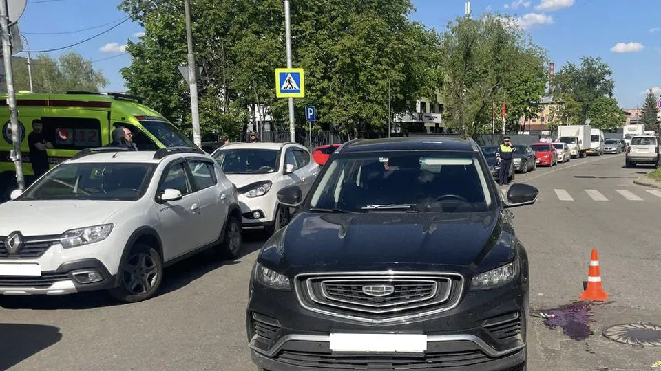 Фото: пресс-служба ГУ МВД России по Московской области