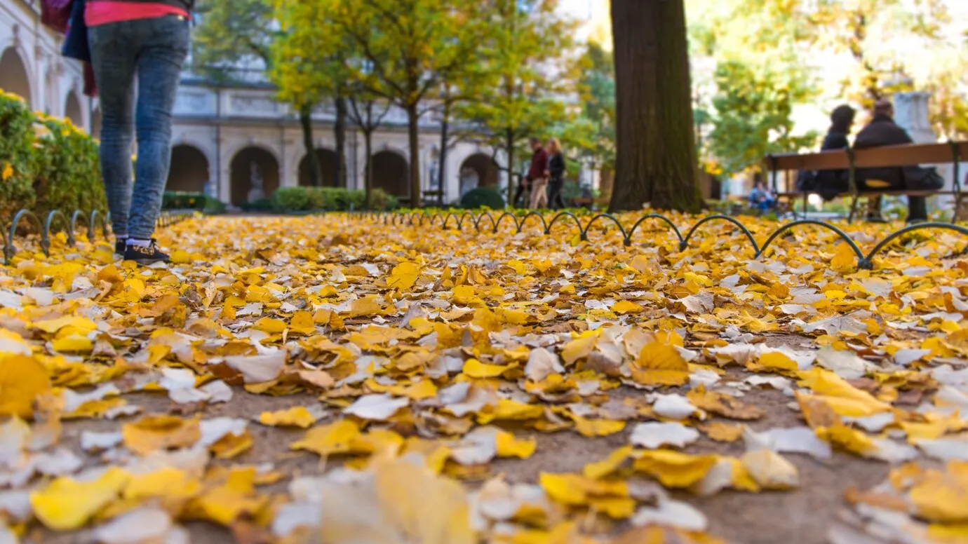 Фото: freepik.com