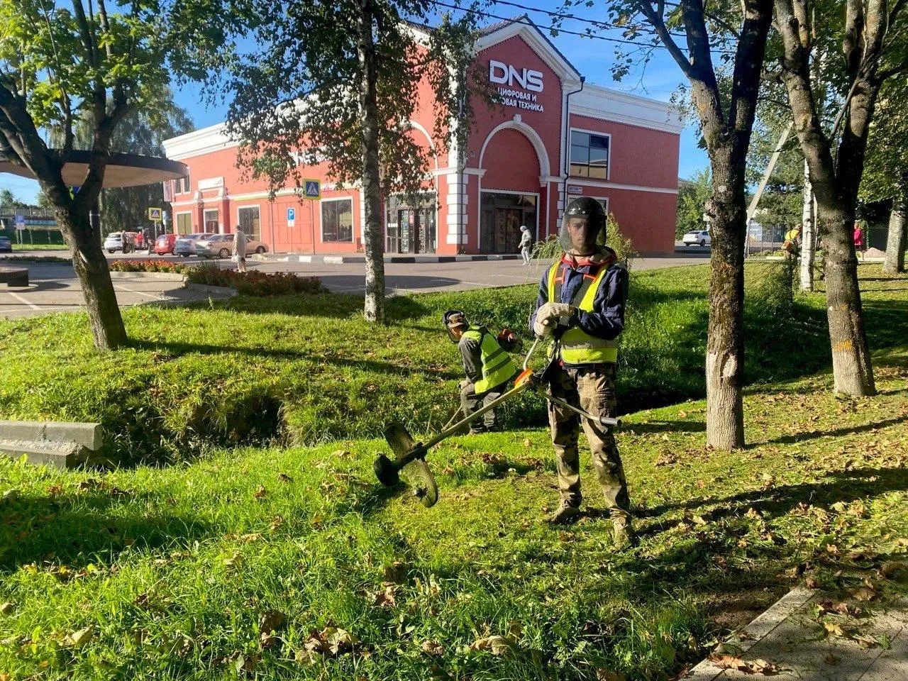 Фото: пресс-служба администрации г. о. Шаховская