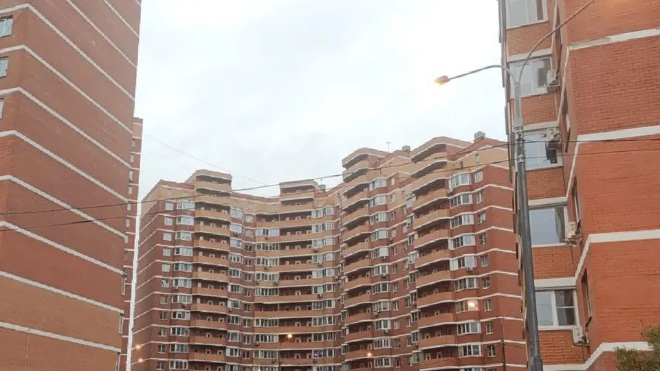 Фото: администрация Одинцовского городского округа