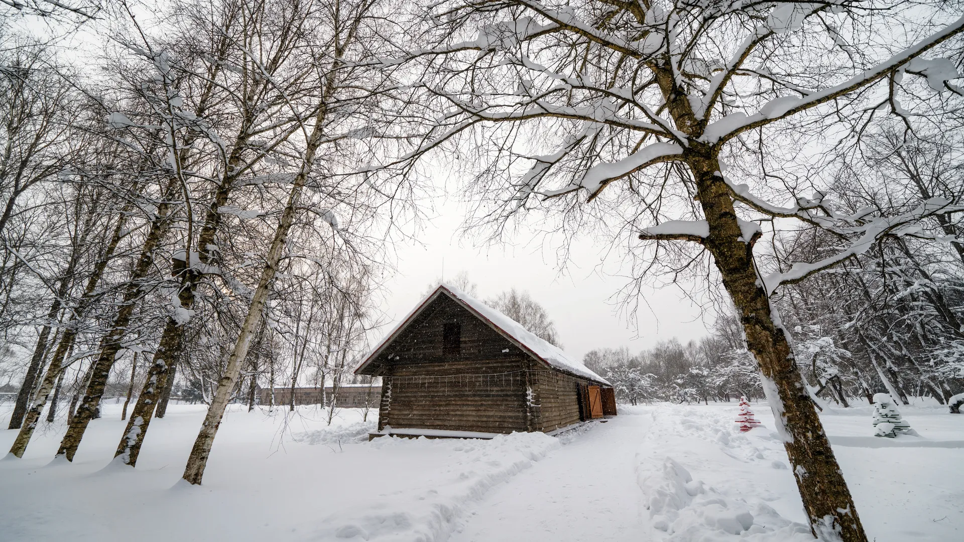Квартира или дом: на каком вопросе о количестве санузлов «ломается» выбор эксперта по недвижимости