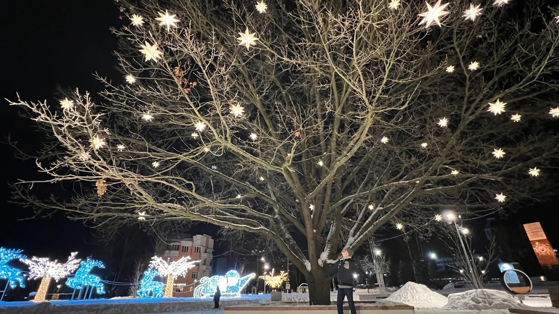 Фото: Андрей Дарусенков - https://vk.com/daobonsai