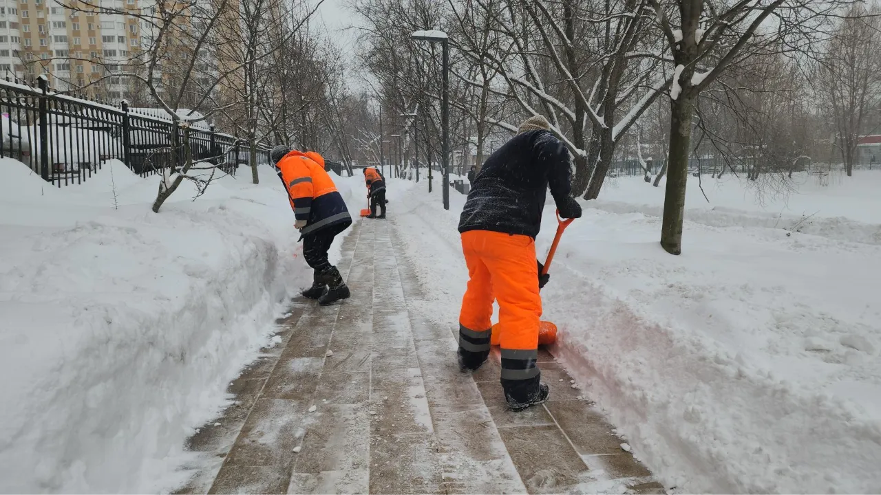 МедиаБанк Подмосковья/Наталья Лымарь