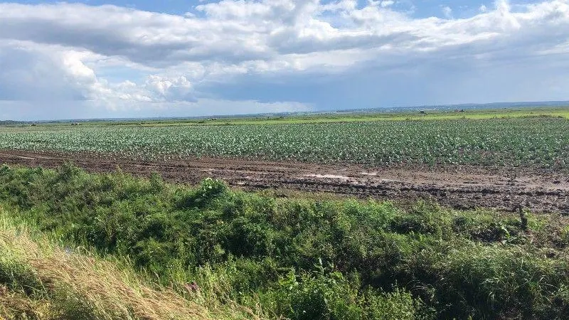 Министерство сельского хозяйства и продовольствия МО