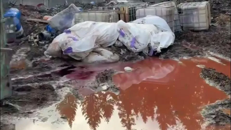 Фото: управление экологии городского округа Мытищи