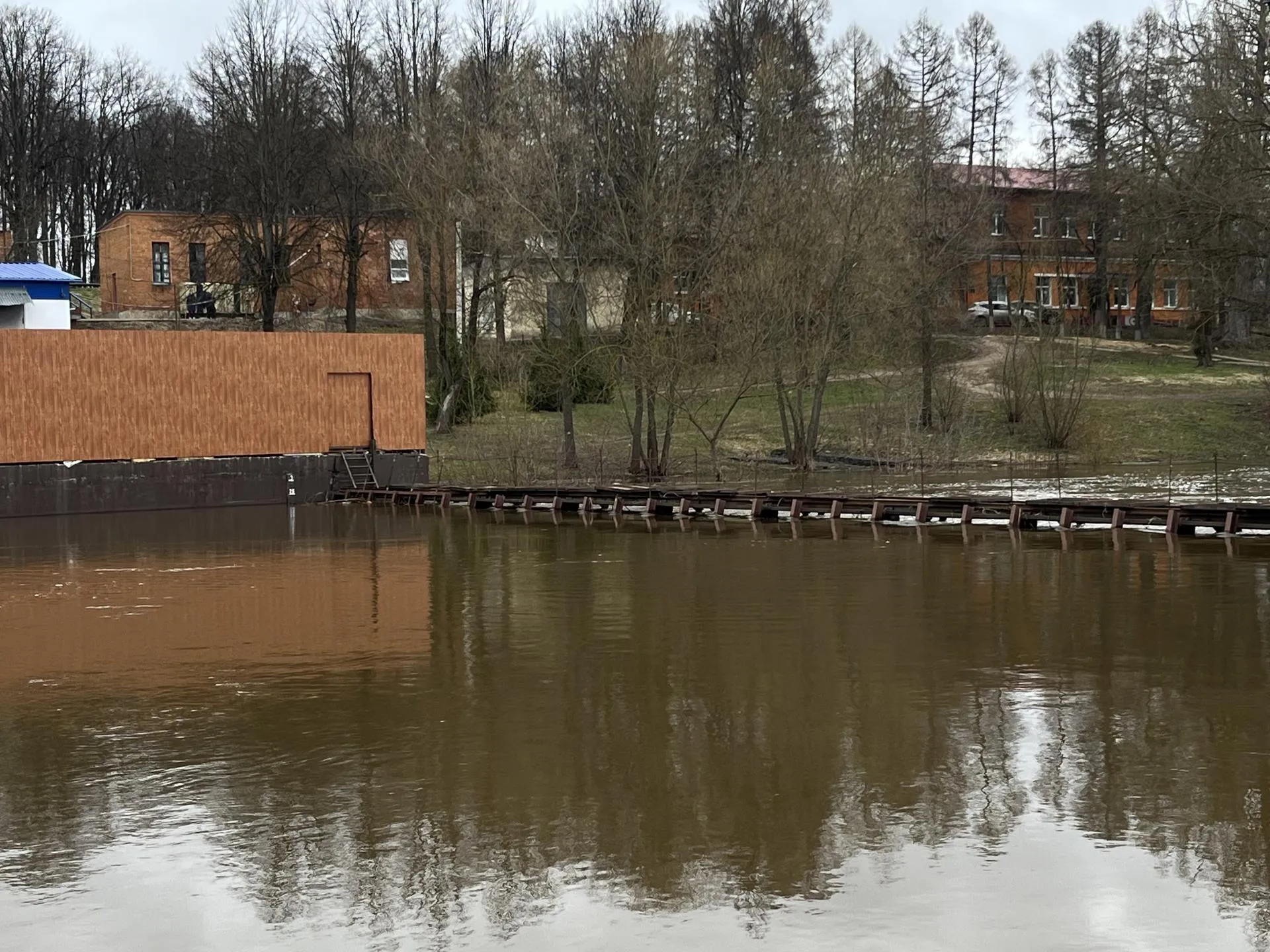 Фото: Анна Тюрюмина