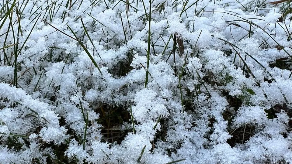 Фото: Елена Фурман