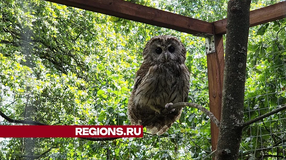 Фото: Александр Степушкин