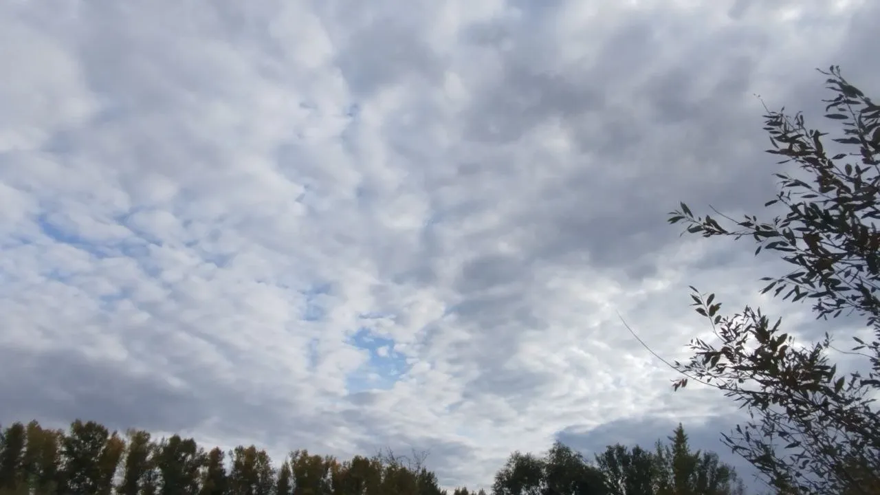 Фото: REGIONS/Юлия Куделькина