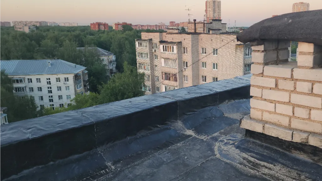 Фото: Юлия Смагринская