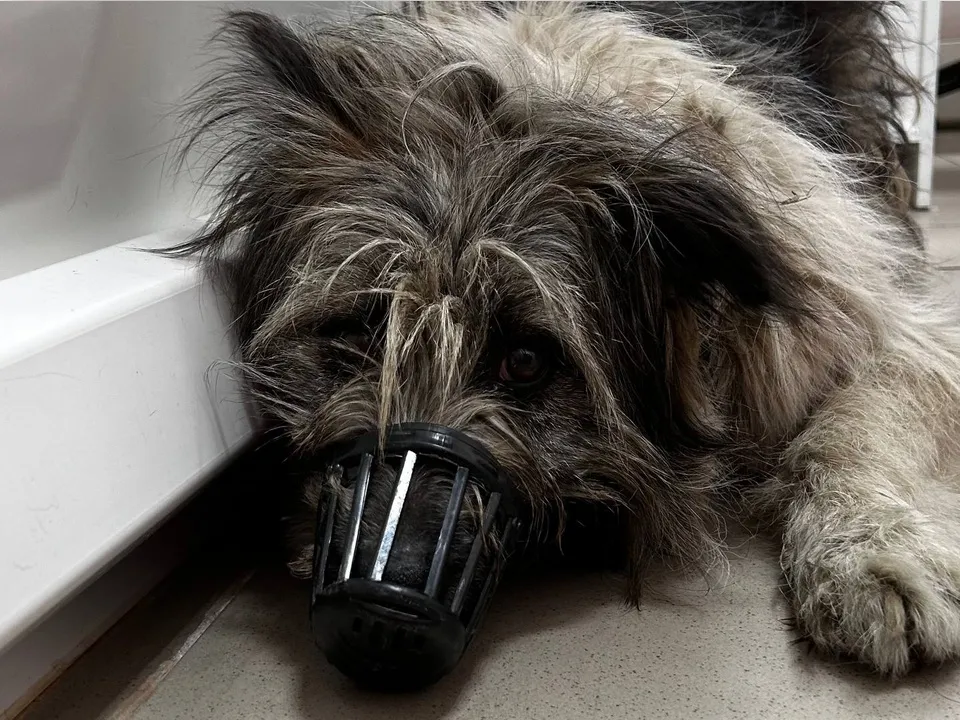 Фото: личный архив Яны Зарифьяновой&nbsp;