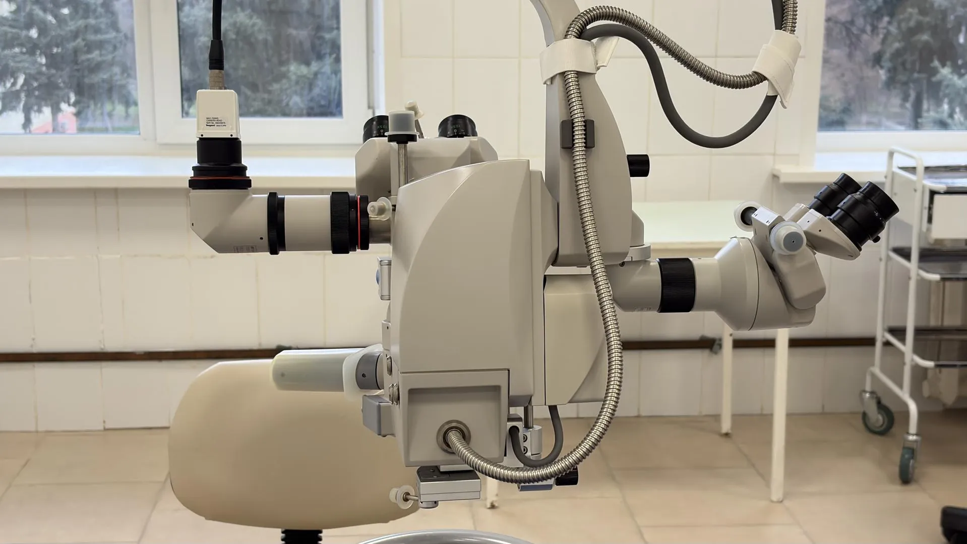 МедиаБанк Подмосковья/Анна Нестерова