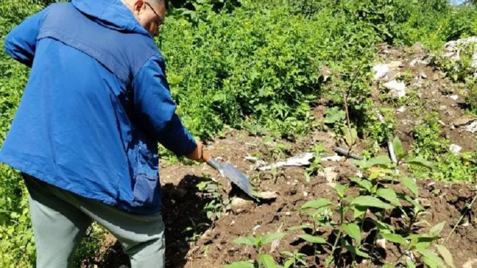 Фото: Минэкологии МО