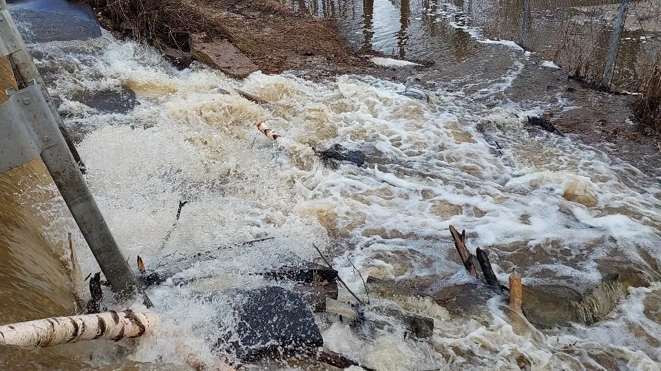 Фото: МедиаБанк Подмосковья/Валерий Гореловский