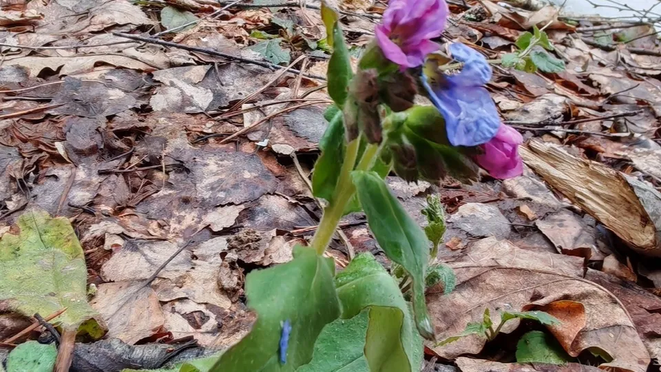 Фото: Константин Кошелев