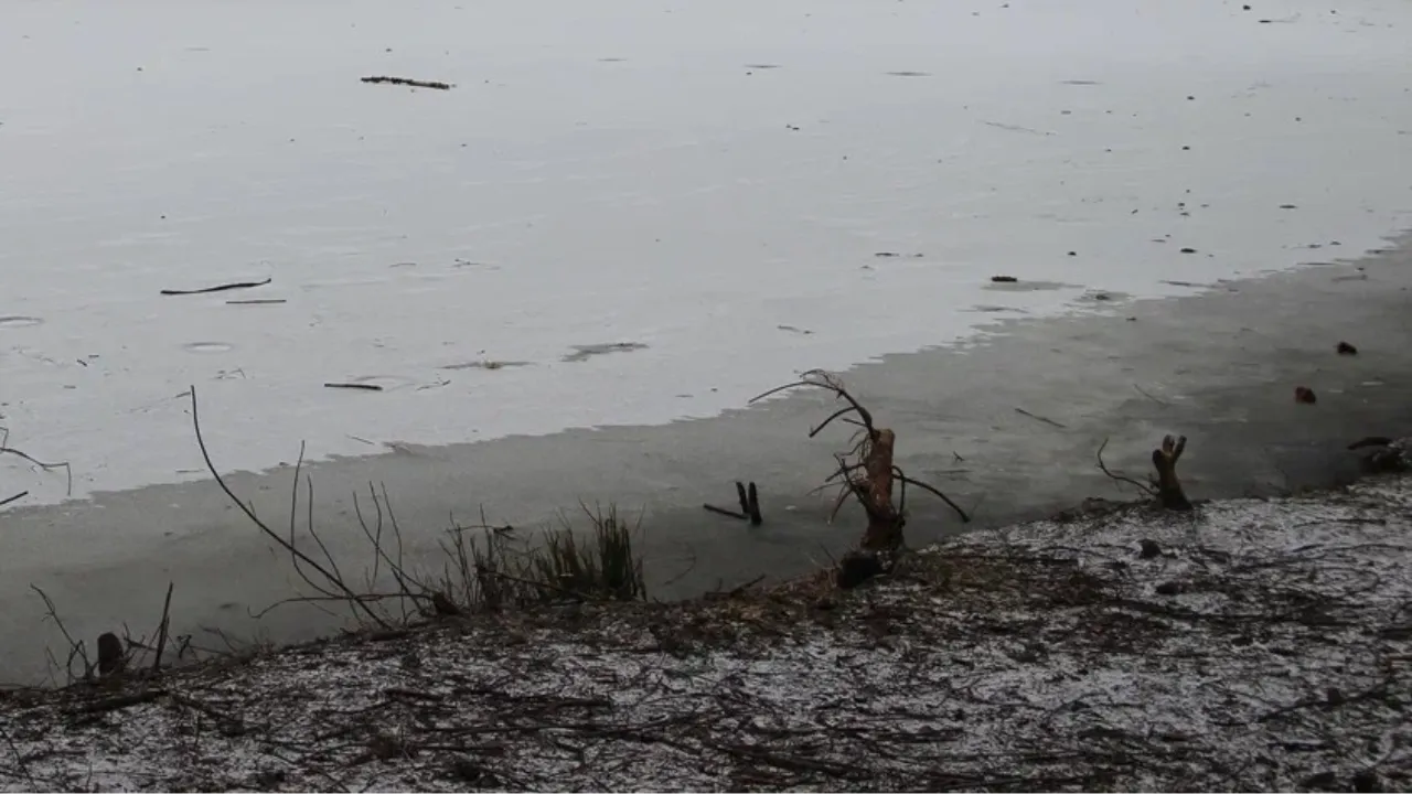 REGIONS/Василий Тремасов