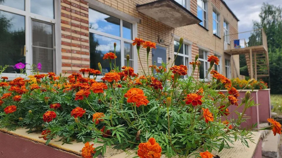 Фото: Екатерина Мелкозерова