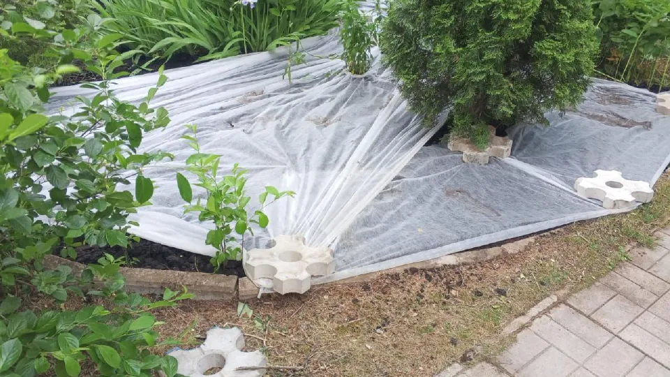 Фото: администрация Одинцовского городского округа