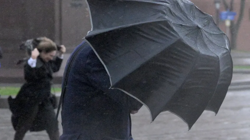 Фото: РИА Новости/Алексей Никольский