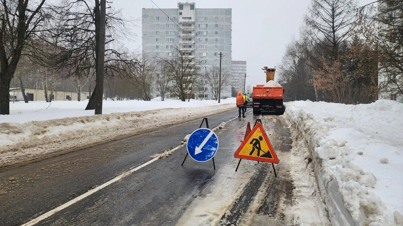 REGIONS/Анна Панина