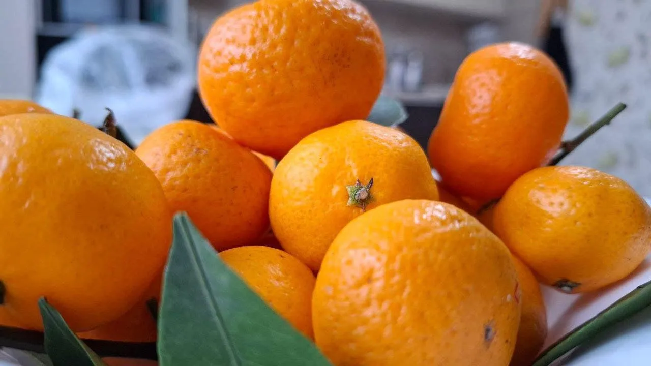 Юлия Габбасова