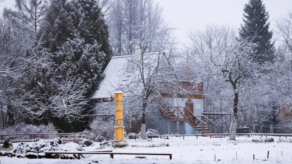 Фото: t.me/chekhovmuseum/Музей «Мелихово»