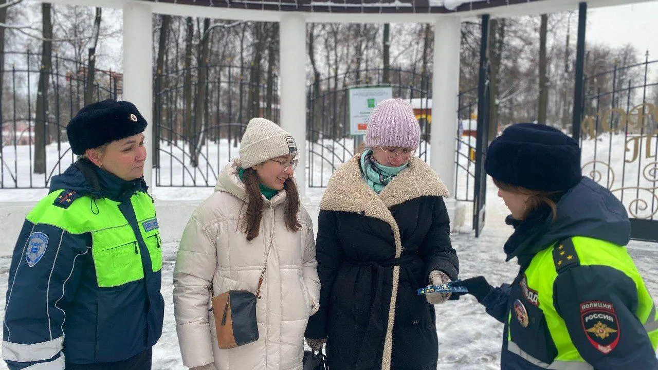 Источник: Госавтоинспекция Московской области