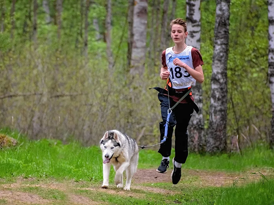 Фото: Центр ездового спорта и туризма «Бореалис»