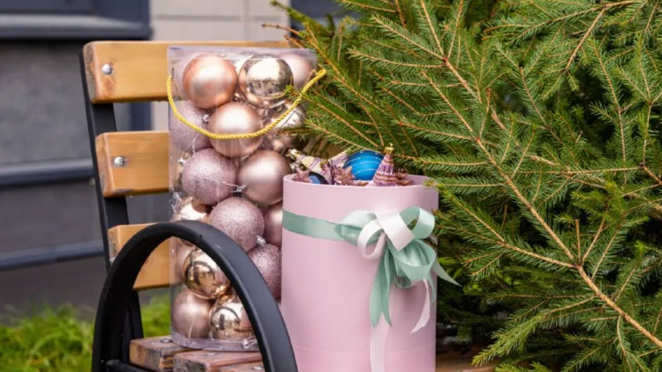 Фото: t.me/AnnaKrotova_Lobnya