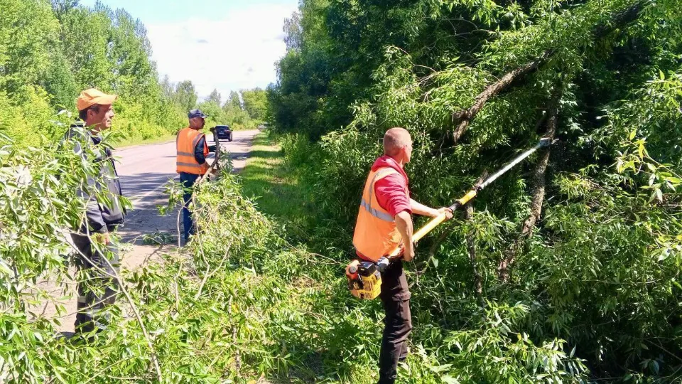 Фото: Министерство транспорта и дорожной инфраструктуры Московской области