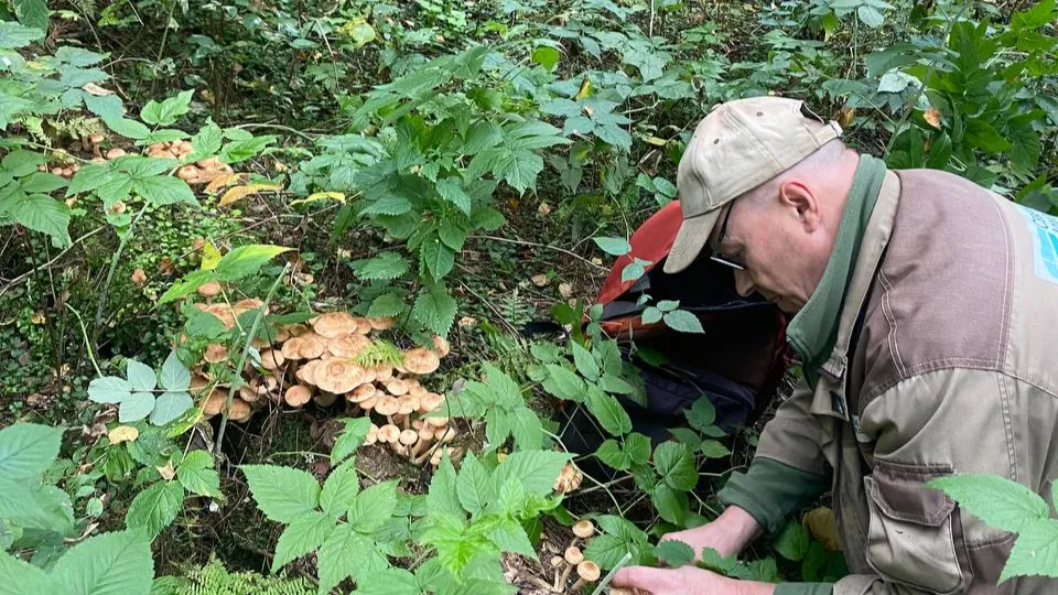 Фото: Анастасия Вознесенская